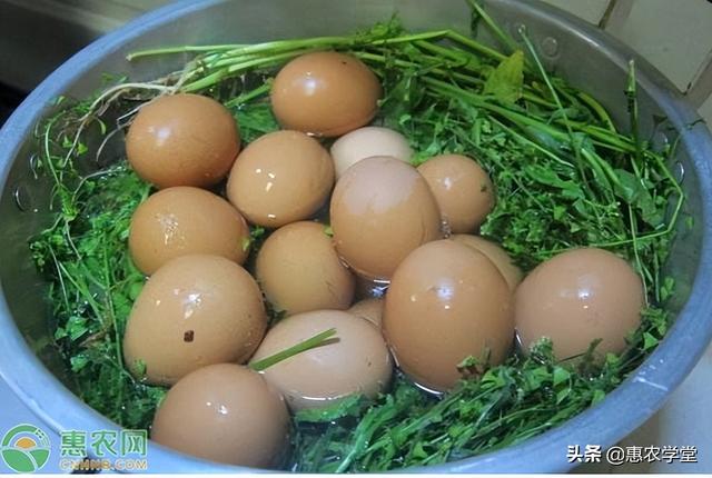 寒食节是清明节吗
