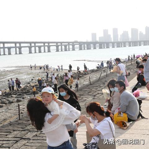 厦门市露营基地在哪里建