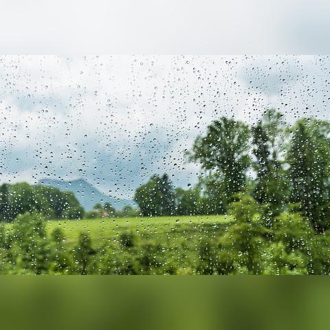 降水量怎么查询