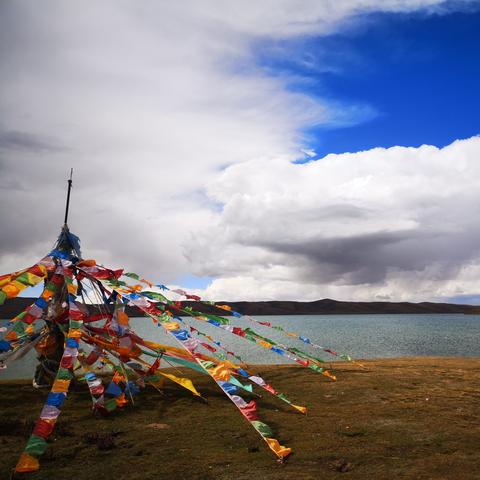 四川到沈阳机票相关长尾关键词有哪些