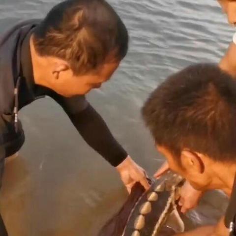 河南总共支援湖北的相关长尾关键词有哪些