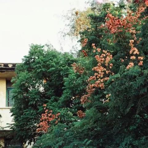 桂林市考研怎么样