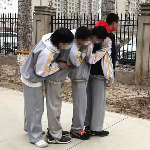 广州市南村镇有什么学校