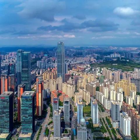 南宁市三好学生怎么填