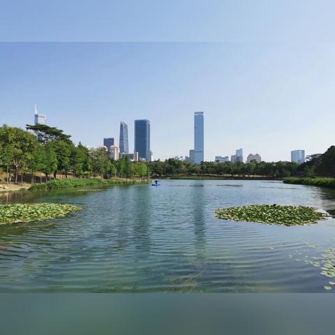 深圳市在广东省哪个市