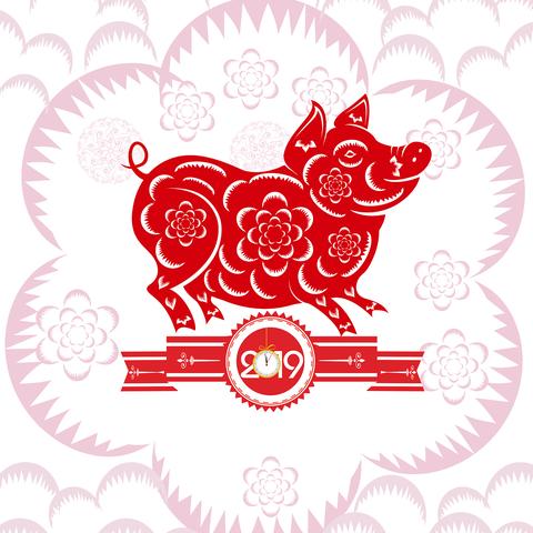 属猪十二生肖运势运程(十二生肖属猪的运势和婚配)