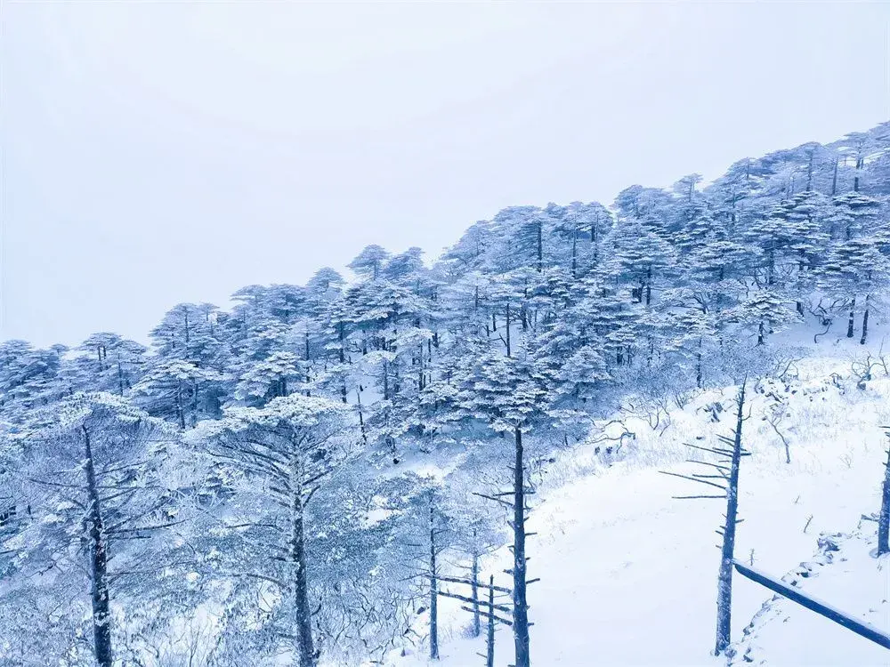 发的抖音被收录了怎么找回 作品被抖音收录了怎么删除