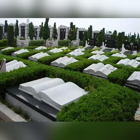 上海哪些厂高收入多