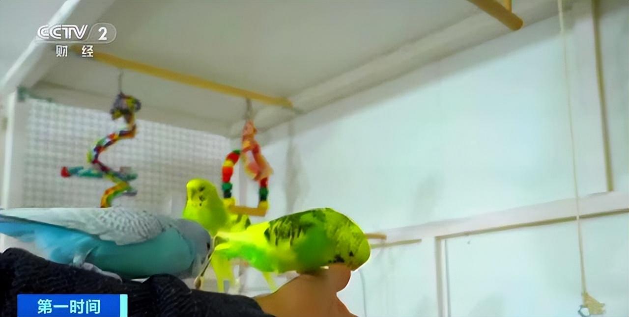 【浙江省报告新增确诊病例79例
 /浙江省报告新增确诊病例79例轨迹】