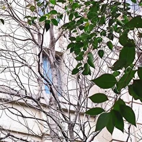 今天合肥土地拍卖直播相关长尾关键词有哪些