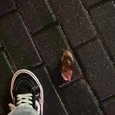 长沙写真799相关长尾关键词有哪些