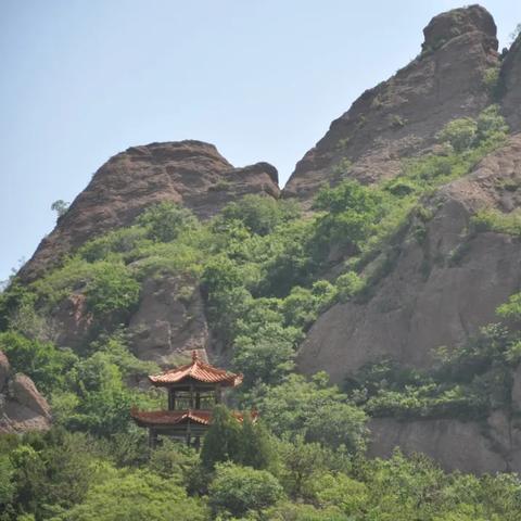 2017河南和尚挖肾事件的相关长尾关键词有哪些