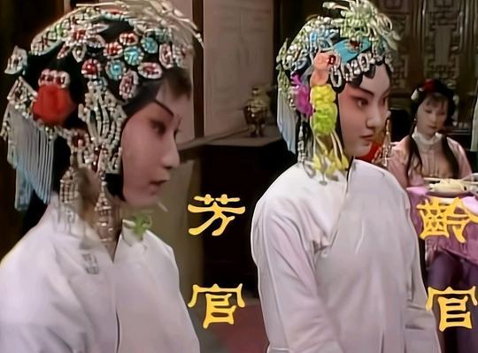 怡红院后期最红丫头，干了三件全府丫头不敢干的事，却被小人陷害