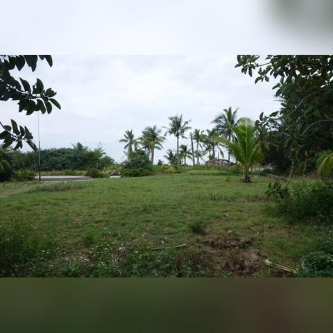 厦门市月亮湾会所怎么样