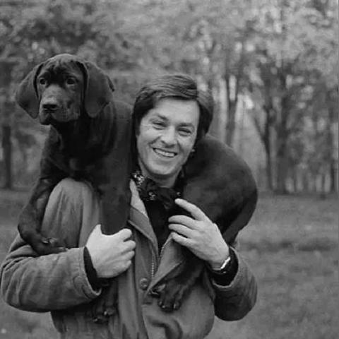 兰州德龙销售公司的相关长尾关键词有哪些