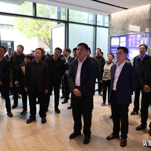 杭州的代表花？