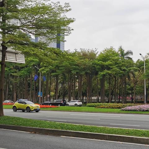 东莞市自驾游去哪里玩