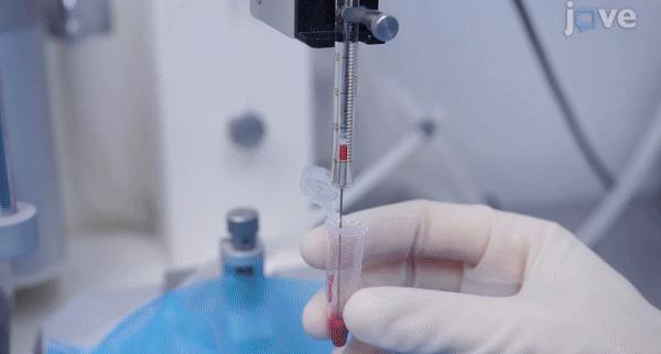 科学SCI论文20篇sci什么水平