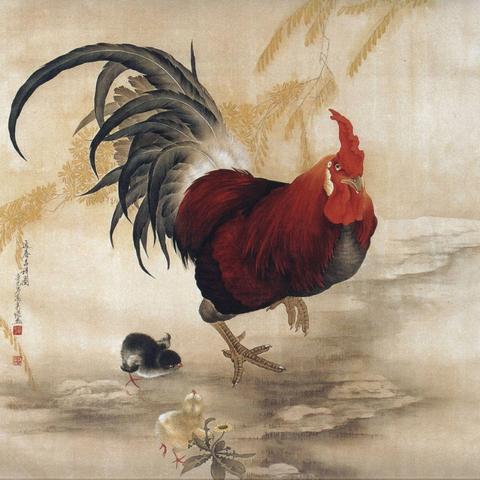 十二生肖鸡未来几年运势(十二生肖鸡未来几年运势怎么样)