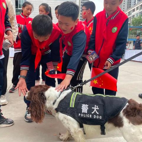 兰州警犬大赛的相关长尾关键词有哪些