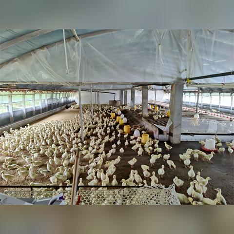 合肥快贷网靠谱吗相关长尾关键词有哪些