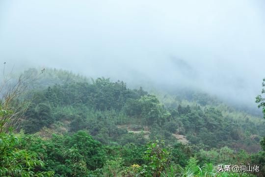 农村俗语：“清明当天看天气，若是雨天不上坟”，讲的在理吗？