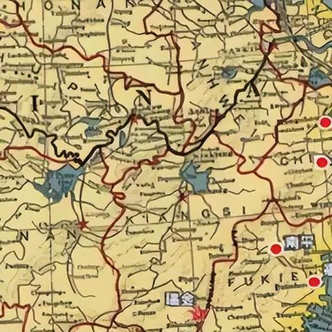 温州市国际转运仓在哪里