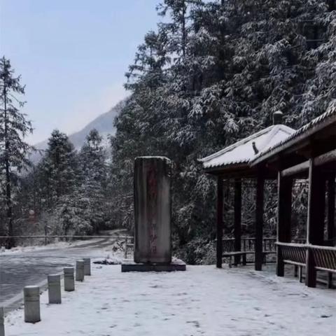 福建最高气温城市排行？