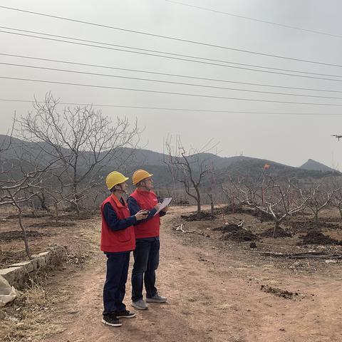 国网天津哪个公司好