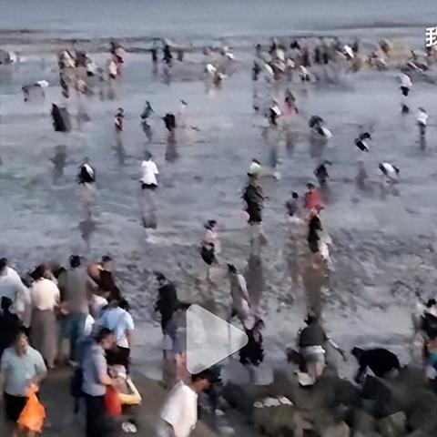 上海免费景点海边有哪些