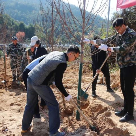 福建漳平南环路的相关长尾关键词有哪些