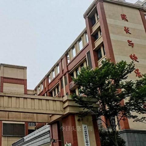 武汉市中医院伤口愈合科怎么样