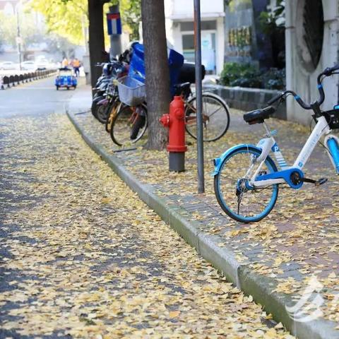 桂林桂江公寓怎么样租相关长尾关键词有哪些