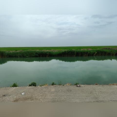 西安市第43中学怎么样