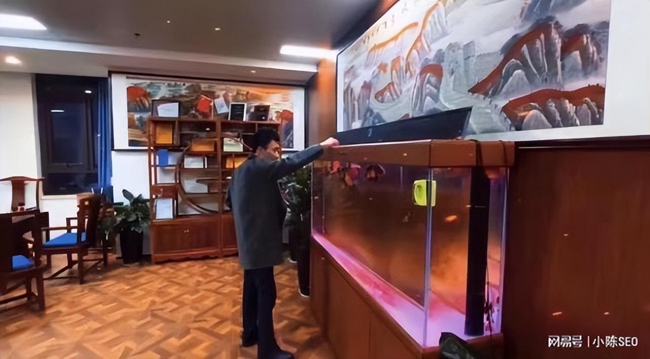 拉新下载app(京东金条拉新怎么做)