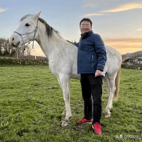 菏泽市德国菜套餐地址在哪里