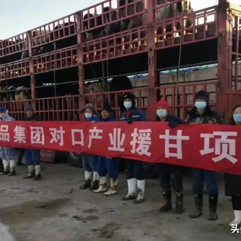 【天津玩沙子推荐】相关长尾关键词有哪些
