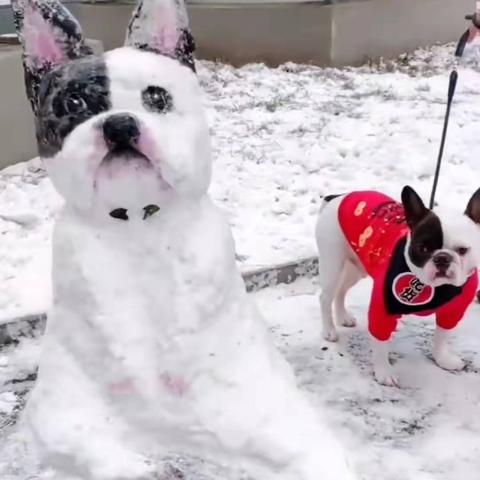 自由客哈尔滨相关长尾关键词有哪些