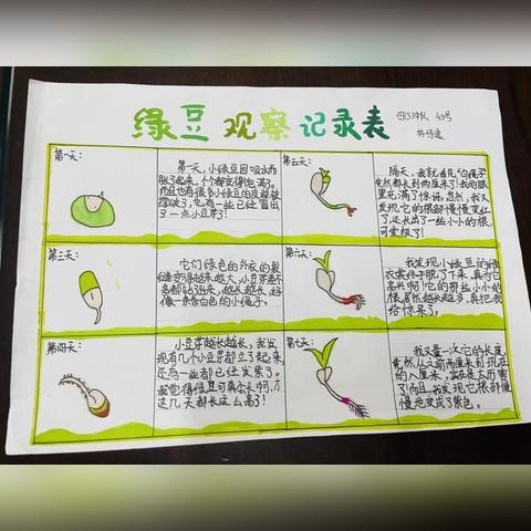 长沙市看云小学怎么样