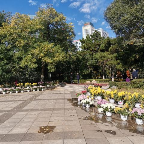 沈阳市哪个公园花比较多