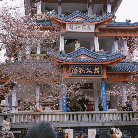 无锡市拍照胜地在哪里