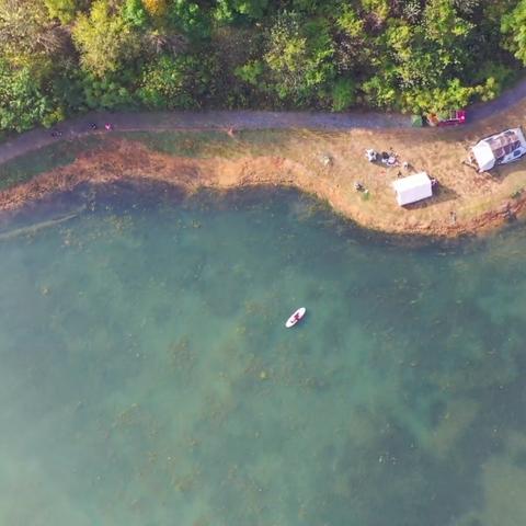 武汉市牛尾湖有什么鱼卖