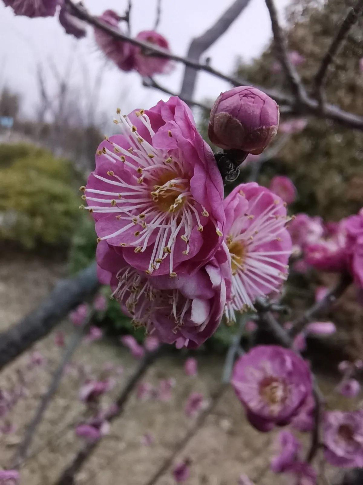 立春之后虎宝宝起名,大年初一是新属相的开始还是立春是新开始