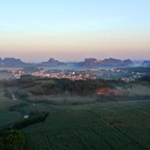 南宁白糖批发市场的相关长尾关键词有哪些