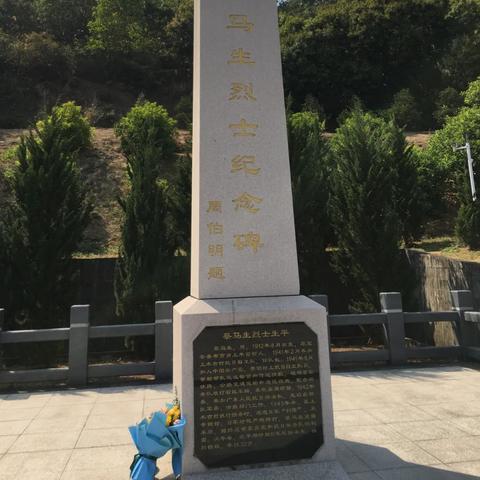 深圳市平湖哪个区的房子好