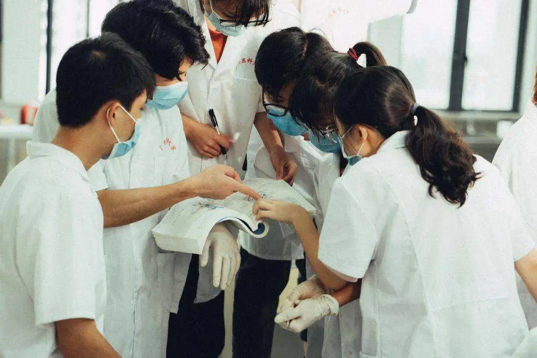 网站收录分类 英文分类网站收录推广