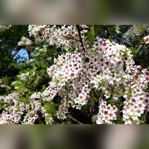 保定市仿真花卉店在哪里