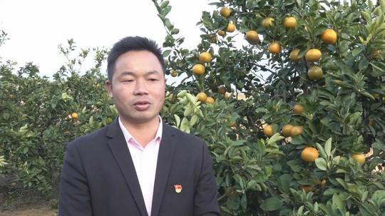 「创新创业创造冠豸」四堡镇腊坑村：选好优新特品种助农增产增收