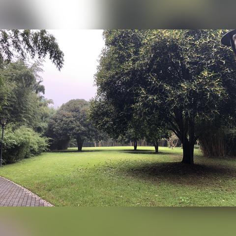古代的长沙市是哪个省