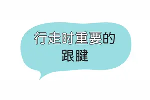 菊池先生 头条搜索